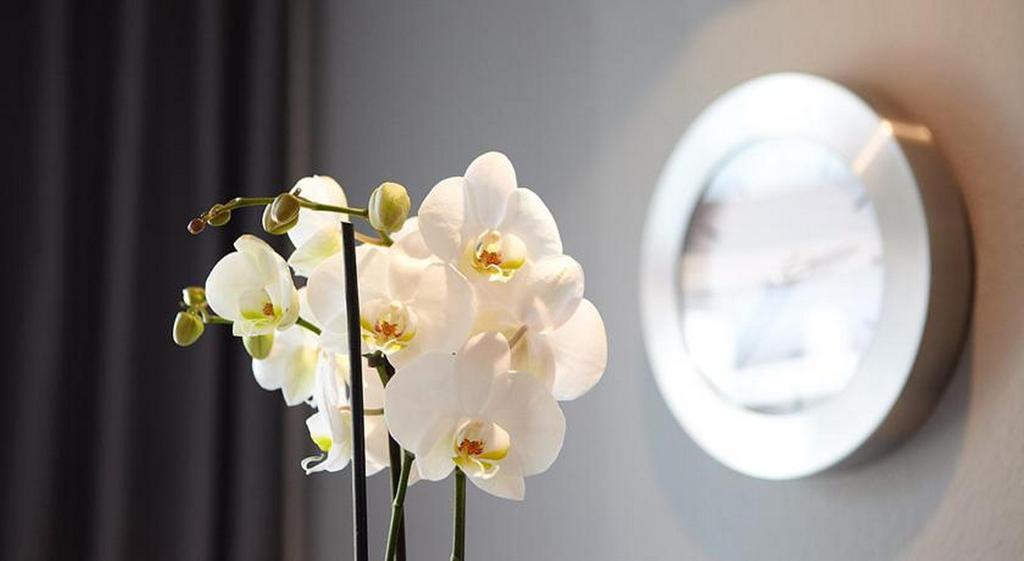 Hotel Waldblick Deppe リップシュタット エクステリア 写真